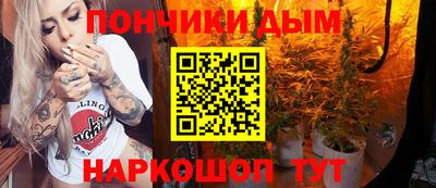гидропоника Партизанск