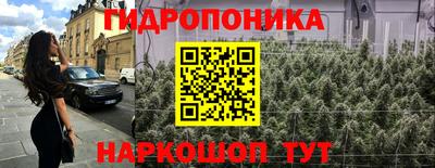 гидропоника Партизанск