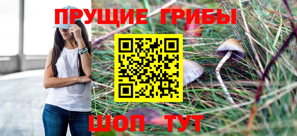 Псилоцибиновые грибы прущие грибы  Вход с VPN  Псилоцибиновые грибы прущие грибы  Пенза 