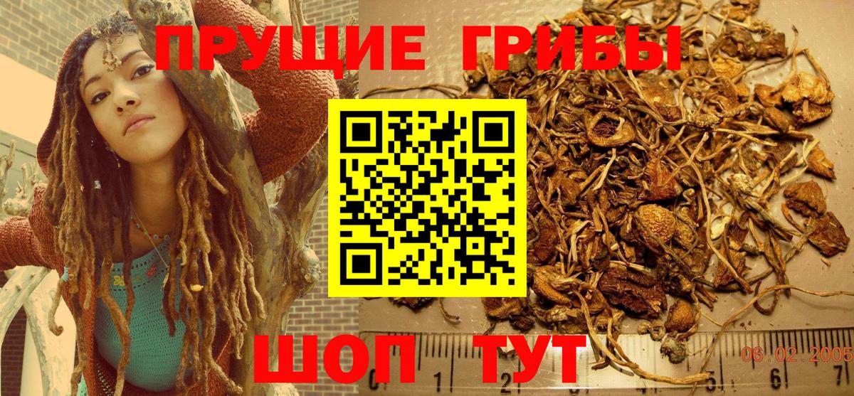 Галлюциногенные грибы мухоморы Пенза