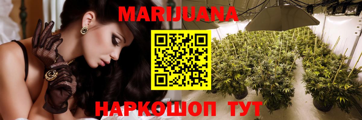 Пенза  Марихуана планчик  Вход с VPN  Бошки марихуана индика  Шишки марихуана сатива 